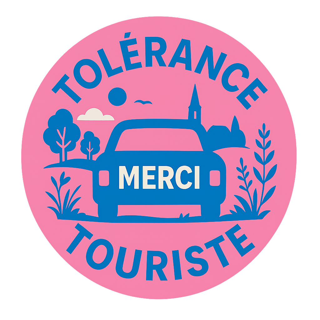 Disque magnetique "Rose et Bleu"