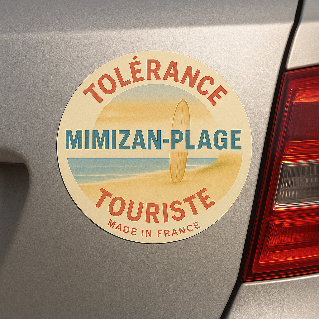 Disque magnetique "MIMIZAN"