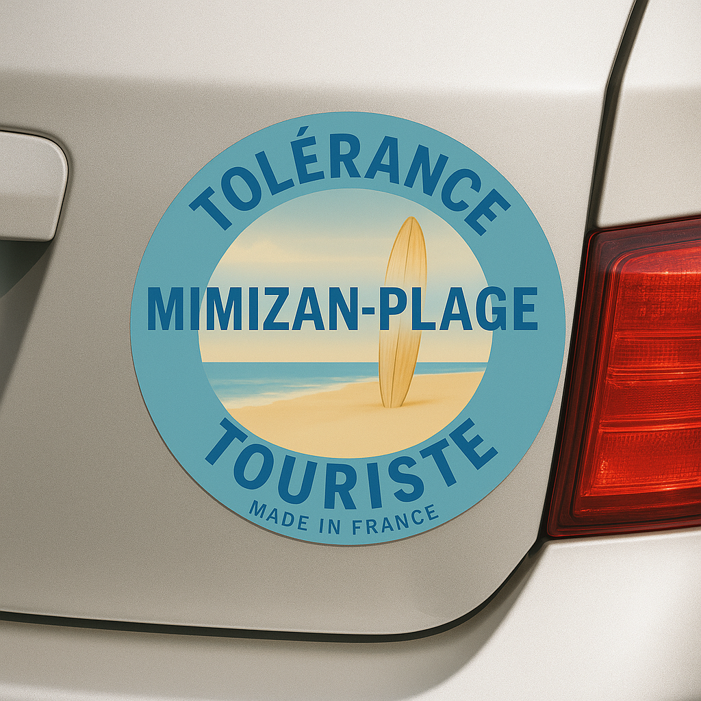 Disque magnetique "MIMIZAN2"