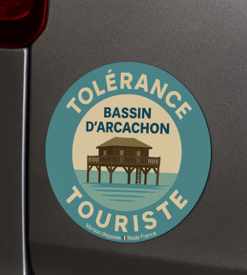 Disque magnetique "BASSIN CABANNE"