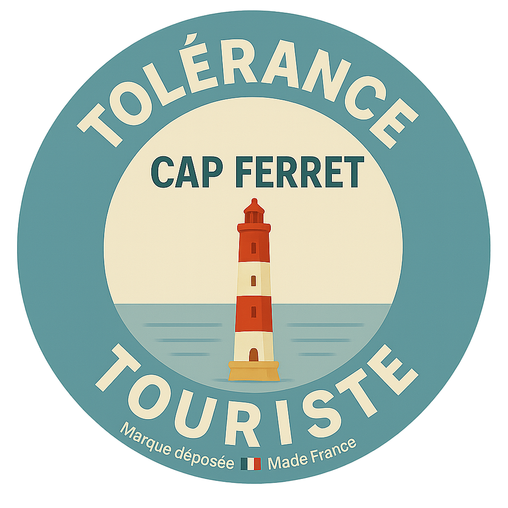 Disque magnetique "CAP FERRET PHARE"